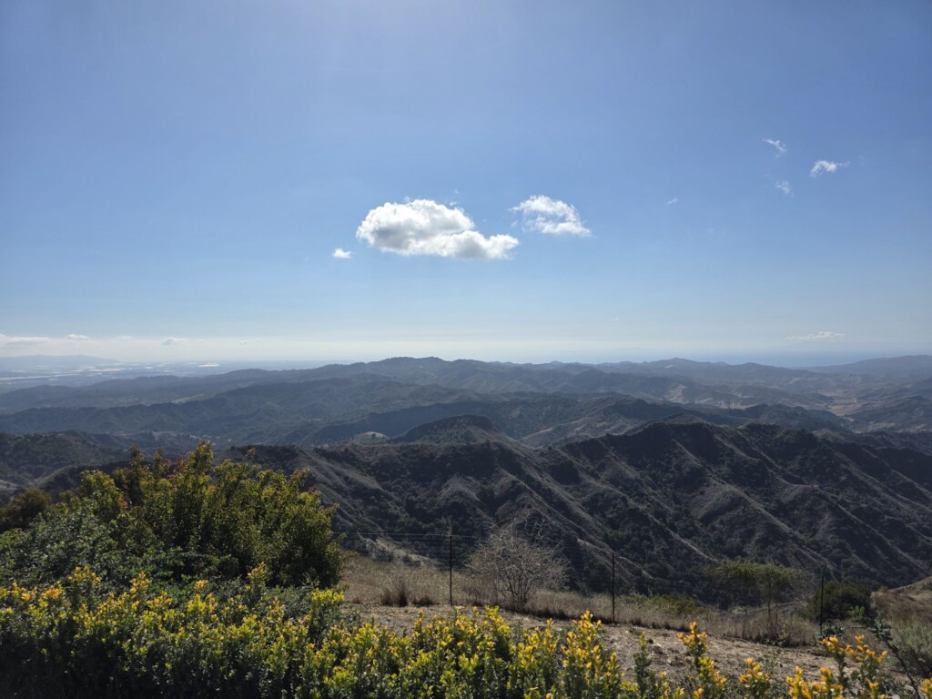 The View from Ojai Mountain Vineyard Ojai's Hidden Gem: A High-Elevation Vineyard with a Vision