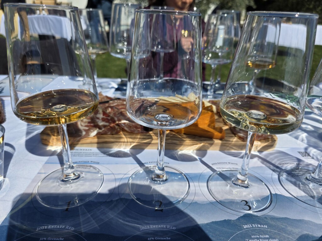 Ojai Mountain Vineyard White Wines Ojai's Hidden Gem: A High-Elevation Vineyard with a Vision