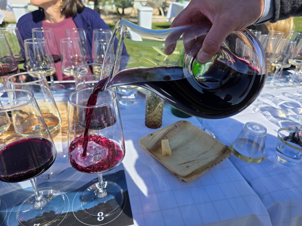 Ojai Mountain Vineyard Syrah Ojai's Hidden Gem: A High-Elevation Vineyard with a Vision