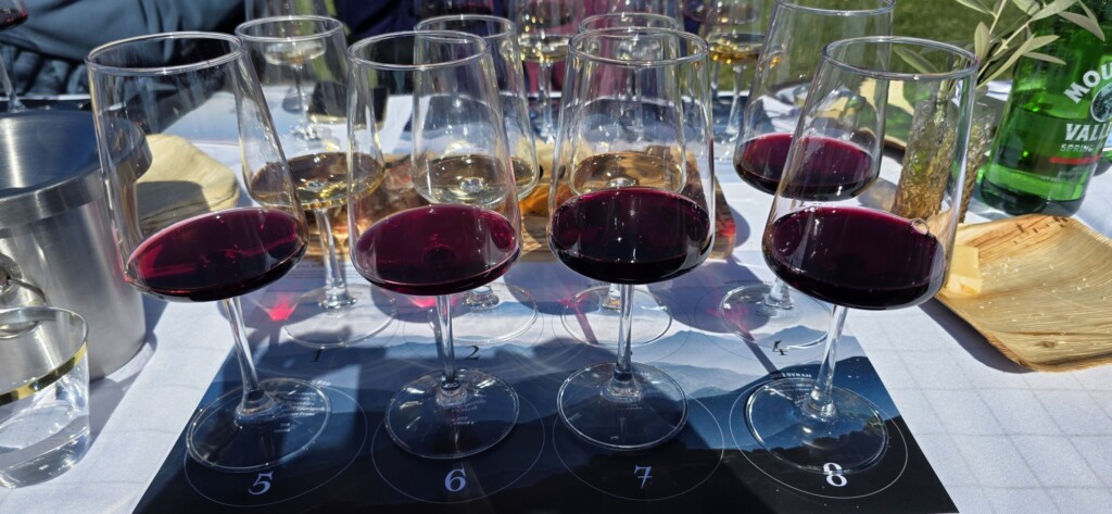 Ojai Mountain Vineyard Red Wines Ojai's Hidden Gem: A High-Elevation Vineyard with a Vision