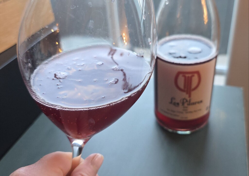 Please The Palate Wine of the Week: Los Pilares 2023 Sparkling Red Wine, San Diego County