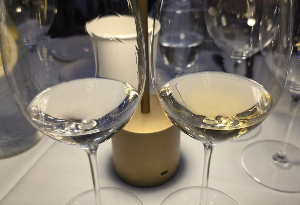 Please The Palate Wine of the Week: Trivento 2023 Reserve White Malbec, Mendoza, Argentina