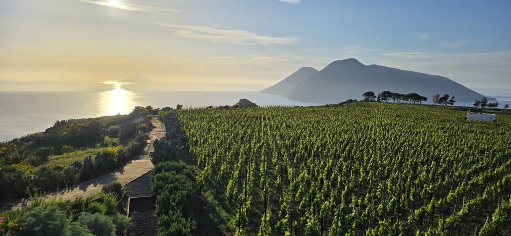 Tenuto di Castellaro Lipari