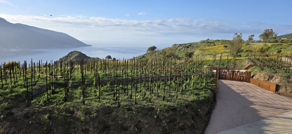 Tenuto di Castellaro Lipari
