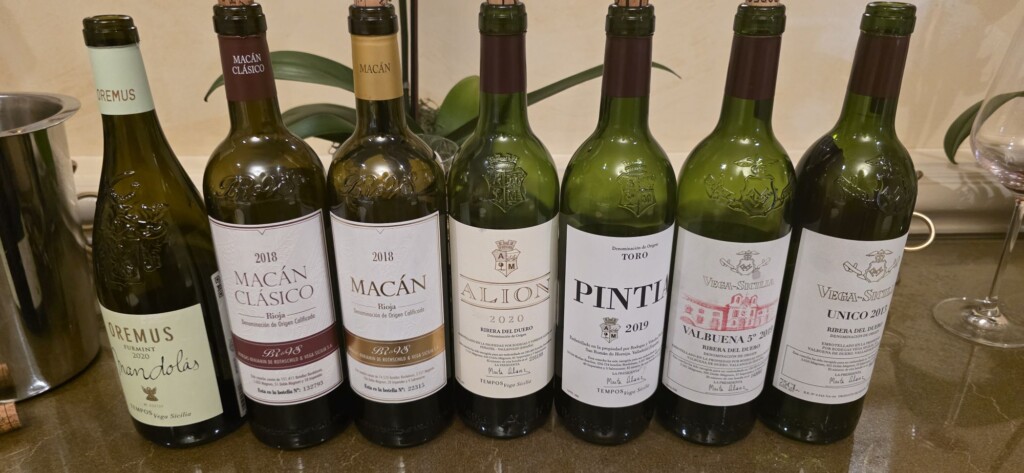 From Tokaj to Toro: A Tasting Tour with Vega Sicilia
