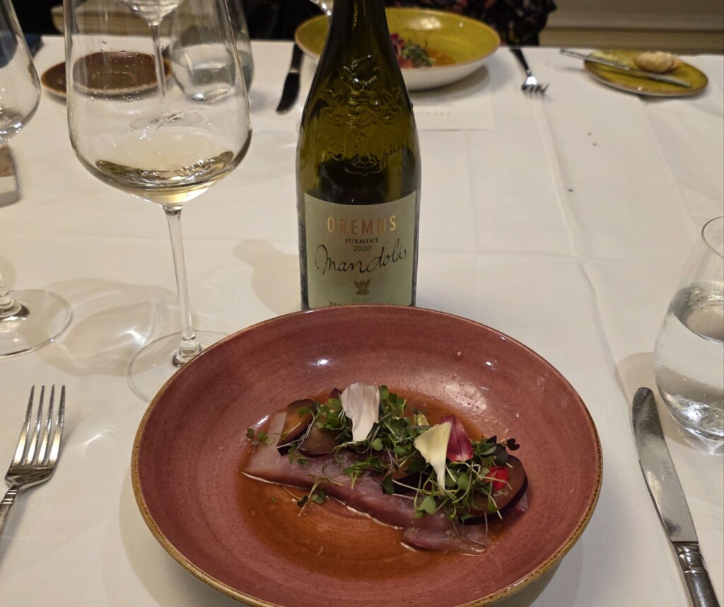 From Tokaj to Toro: A Tasting Tour with Vega Sicilia