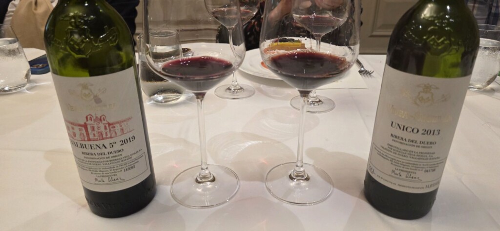 From Tokaj to Toro: A Tasting Tour with Vega Sicilia