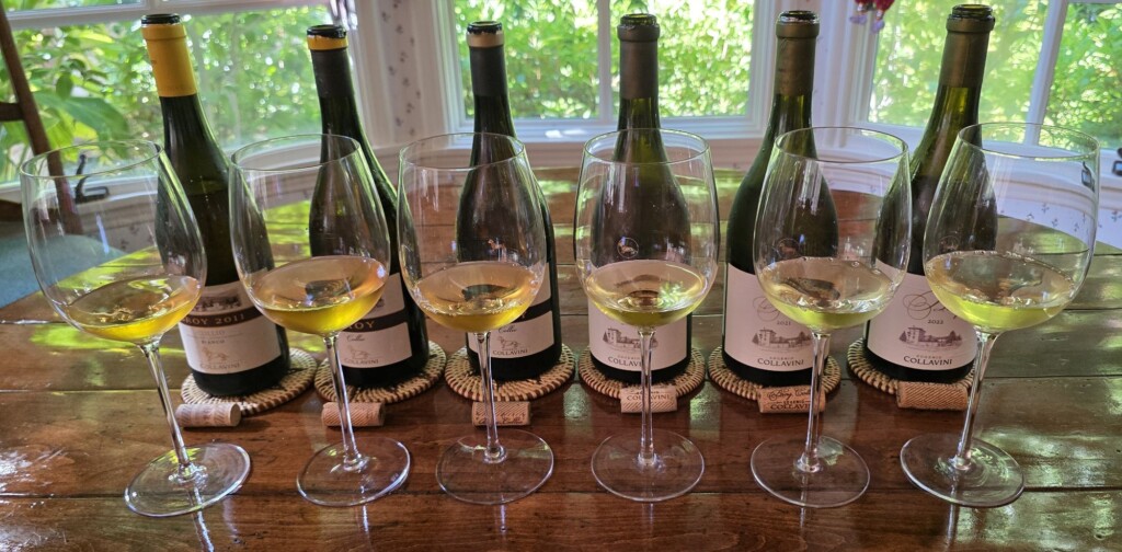 Vertical of Collavini Broy A Postcard of Collio: A Story of Land, Time, and Intention with Six Vintages of Collavini Broy DOC Collio