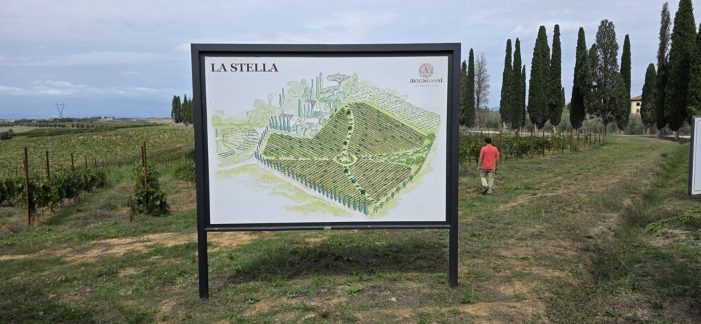 Wine Beyond the Glass: My Two Days at Avignonesi