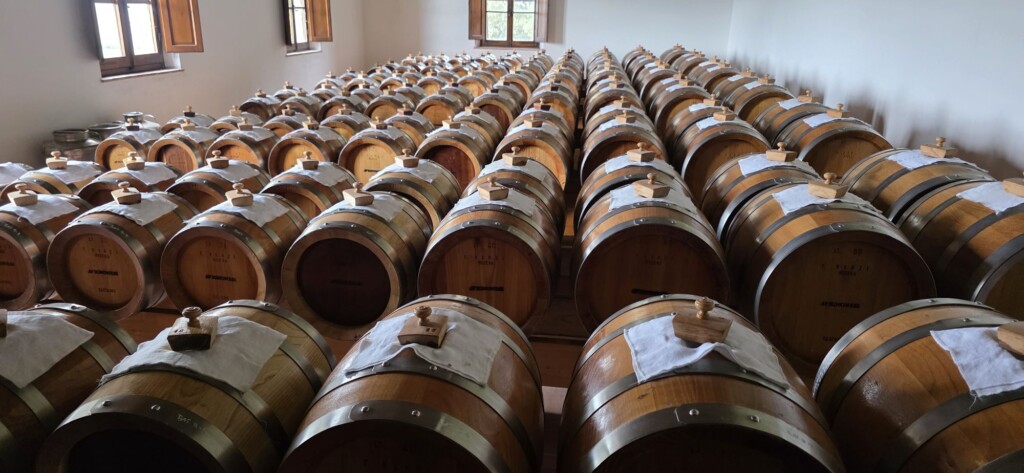 Wine Beyond the Glass: My Two Days at Avignonesi