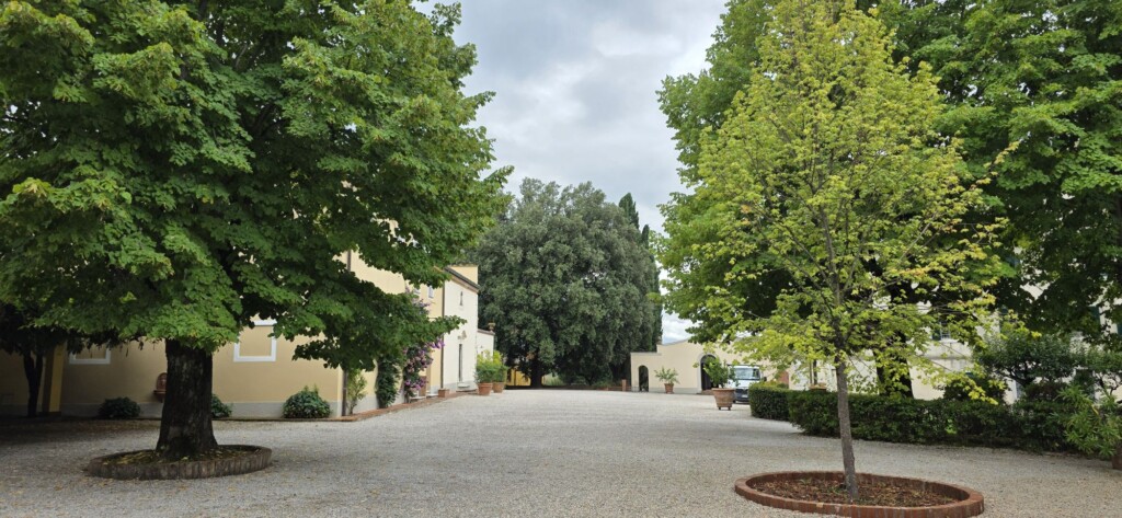 Wine Beyond the Glass: My Two Days at Avignonesi