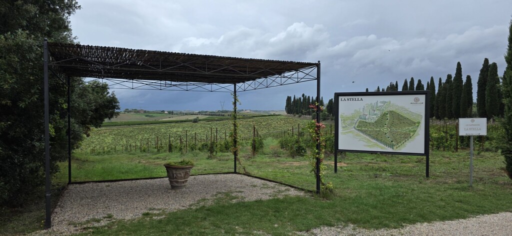 Wine Beyond the Glass: My Two Days at Avignonesi