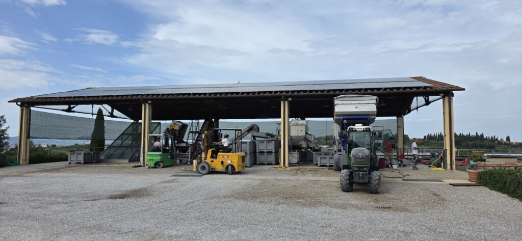 Wine Beyond the Glass: My Two Days at Avignonesi