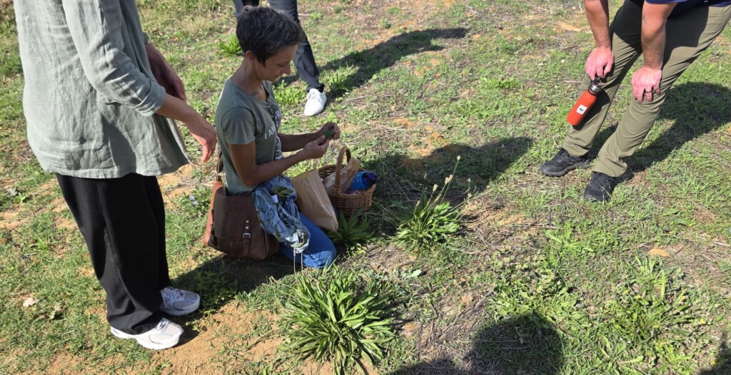 Foraging and Cooking at Fattoria La Maliosa in Maremma, Tuscany