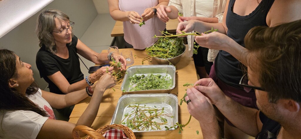 Foraging and Cooking at Fattoria La Maliosa in Maremma, Tuscany