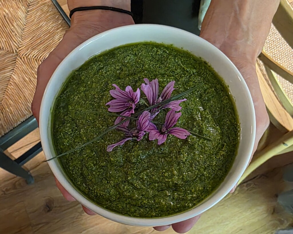 Plantain pesto Foraging and Cooking at Fattoria La Maliosa in Maremma, Tuscany