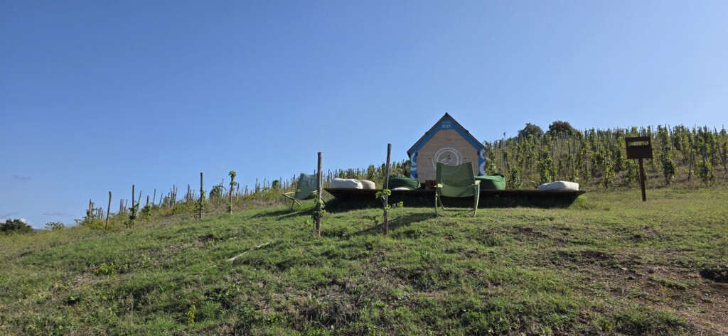 Foraging and Cooking at Fattoria La Maliosa in Maremma, Tuscany Foraging and Cooking at Fattoria La Maliosa in Maremma, Tuscany