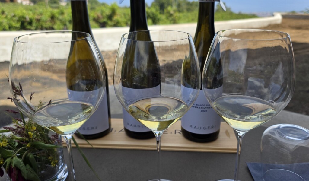 Maugeri Etna Bianco Superiore DOC Milo: Finding Focus on Etna’s Eastern Slope