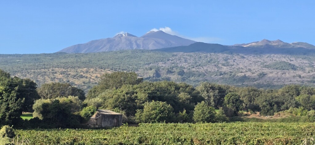 Mount Etna Milo: Finding Focus on Etna’s Eastern Slope