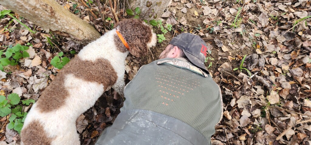 Truffle Hunting in Umbria with Michele and Andrea of Truffle Hunting Umbria Beneath the Forest Floor: White Truffle Hunting in Piemonte and Umbria