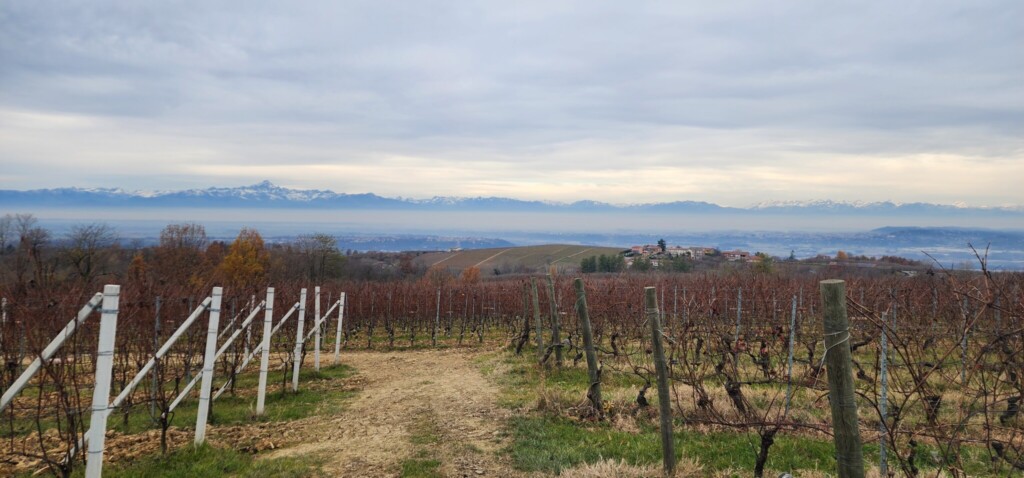 Truffle Hunting in La Morra, Piemonte Beneath the Forest Floor: White Truffle Hunting in Piemonte and Umbria