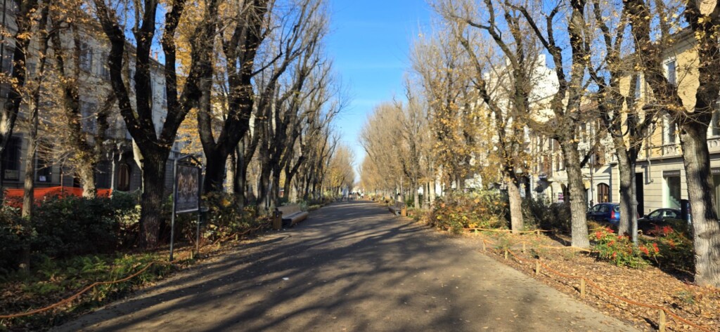 Vinomio: Where I Always Come Back in Vercelli, Italy