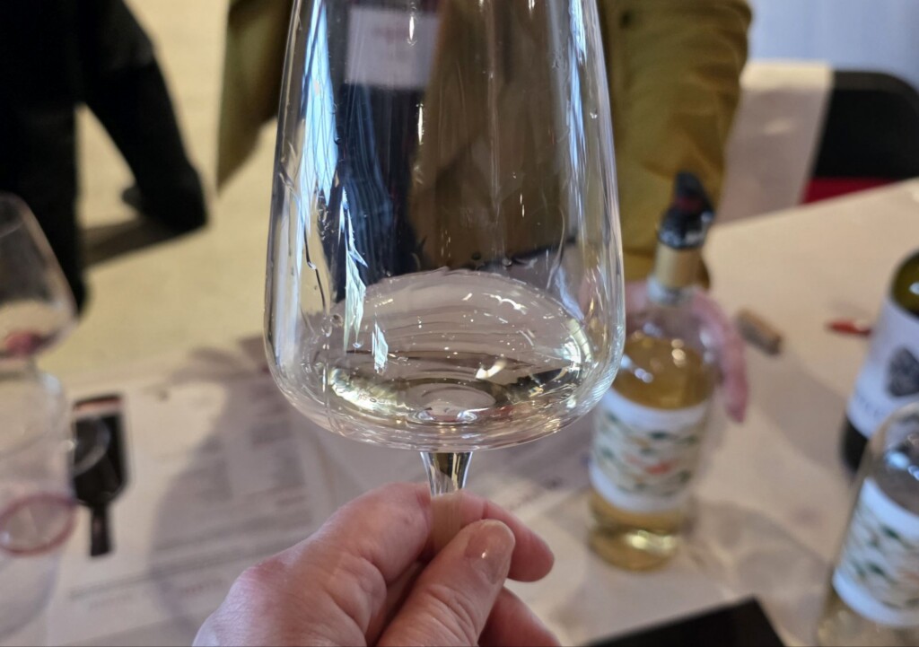 Please The Palate Wine of the Week: Velenosi 2024 Villa Angela Pecorino Offida DOCG, Marche