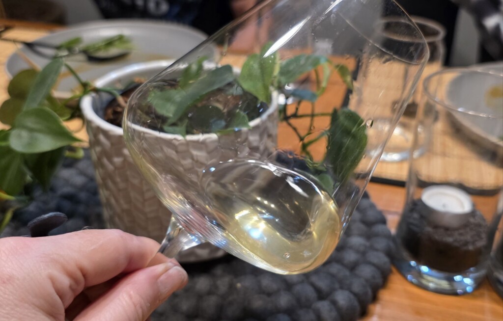 Please The Palate Wine of the Week: Domaine du Gringet 2020 Eponyme, Savoie, France