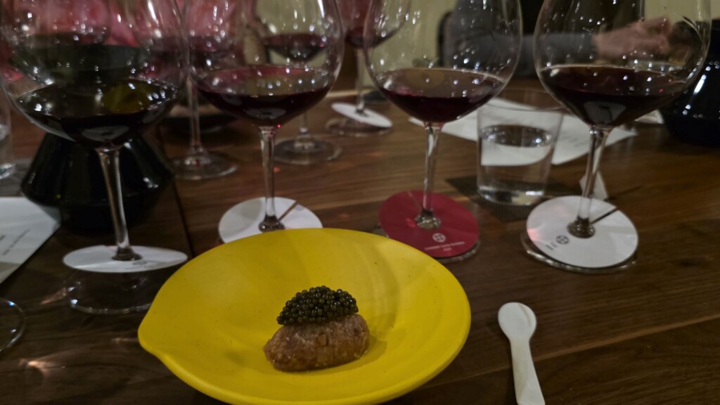 Wine for Sushi: The Vision Behind Xander Soren Wines