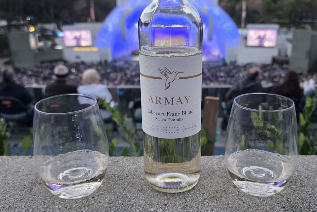 Armay Vineyard 2025 Cabernet Franc Blanc Please The Palate Wine of the Week: Armay Vineyard 2025 Cabernet Franc Blanc