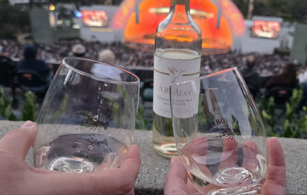 Armay Vineyard 2025 Cabernet Franc Blanc Please The Palate Wine of the Week: Armay Vineyard 2025 Cabernet Franc Blanc