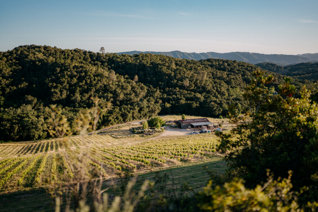 A view of the Regenerative Organic Certified MAHA Estate. Photo Credit: O'Neill Vintners and Distillers "Farm Like The World Depends on It" - Why Paso Robles Growers Are Choosing Regenerative Organic Farming