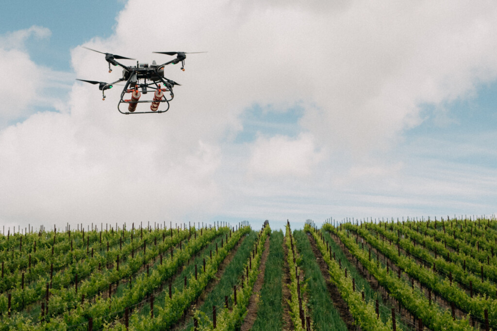 At Booker Vineyard, drones distribute lacewing eggs to feed on pests. (Photo Credit: O’Neill Vintners and Distillers) "Farm Like The World Depends on It" - Why Paso Robles Growers Are Choosing Regenerative Organic Farming