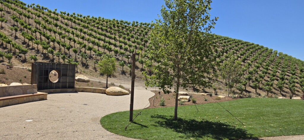 The Magic and the Math: How a Tech Engineer Is Building a Winery for the Long Game in Paso Robles The Magic and the Math: How a Tech Engineer Is Building a Winery for the Long Game in Paso Robles